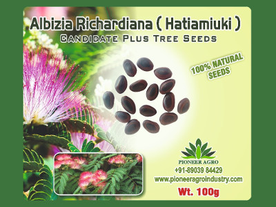 Albizia Richardiana